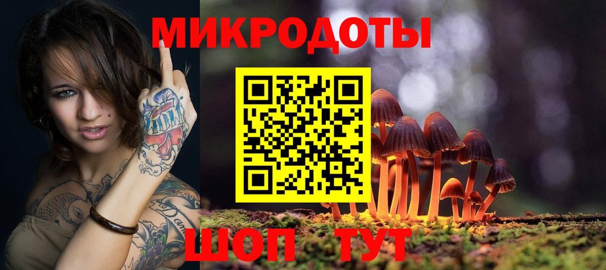 Галлюциногенные грибы Psilocybine cubensis Чапаевск